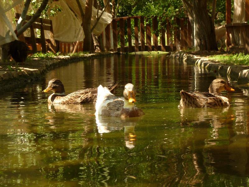 Olympos Mitos Hotel Exterior photo